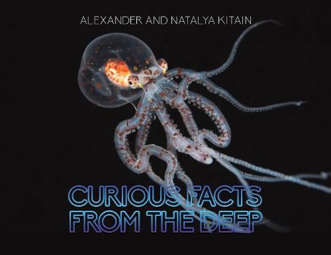 Cover image for Curious Facts from the Deep