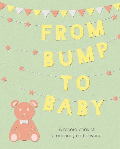 Cover image for From Bump to Baby: A Record Book of Pregnancy and Beyond
