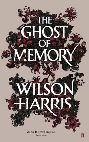 Cover image for The Ghost of Memory