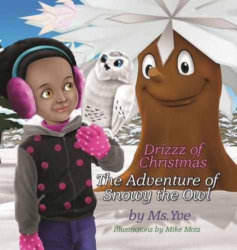 Cover image for The Adventure of Snowy the Owl