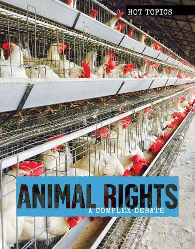 Cover image for Animal Rights: A Complex Debate