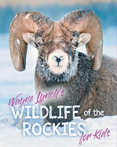 Cover image for Wildlife of the Rockies for Kids