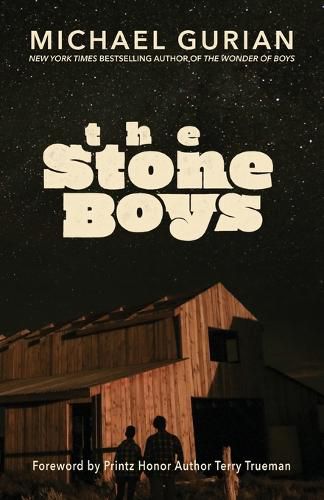 Cover image for The Stone Boys