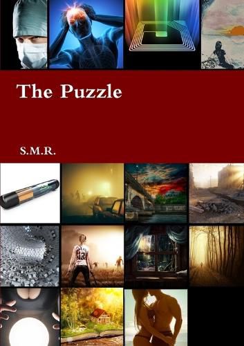 Cover image for The Puzzle