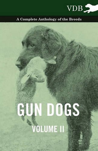 Cover image for Gun Dogs Vol. II. - A Complete Anthology of the Breeds