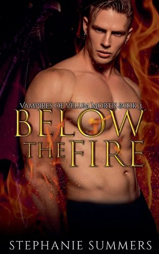 Cover image for Below the Fire
