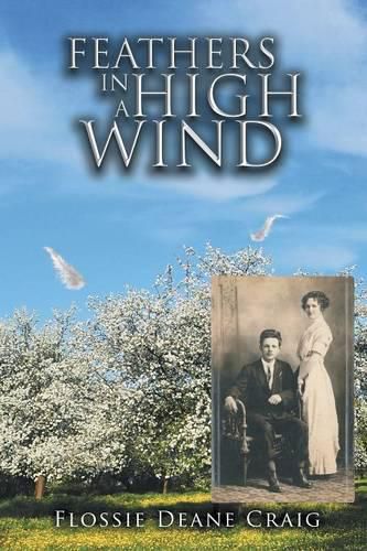 Cover image for Feathers in a High Wind