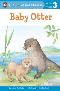Cover image for Baby Otter