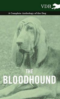 Cover image for The Bloodhound - A Complete Anthology of the Dog -