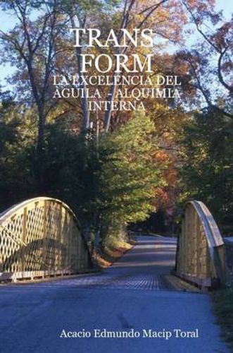 Cover image for Trans - Form: La Excelencia Del Aguila - Alquimia Interna