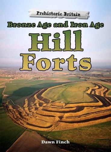 Cover image for Bronze Age and Iron Age Hill Forts