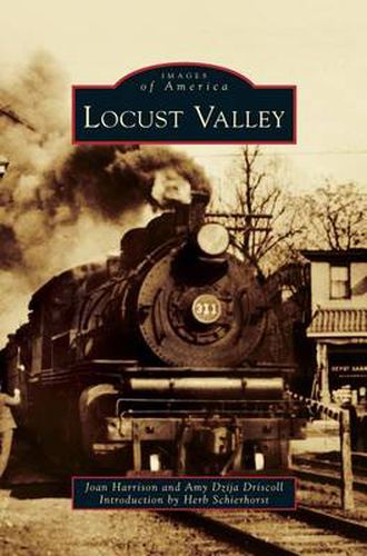 Cover image for Locust Valley