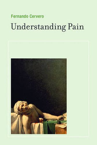 Cover image for Understanding Pain: Exploring the Perception of Pain