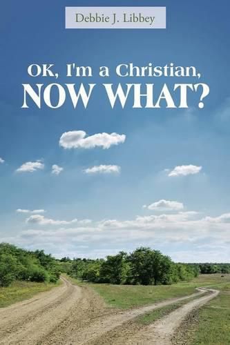 Cover image for Ok, I'm a Christian, Now What?