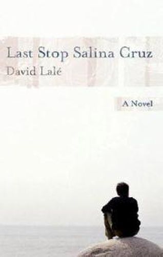 Cover image for Last Stop Salina Cruz