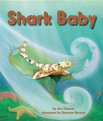 Cover image for Shark Baby