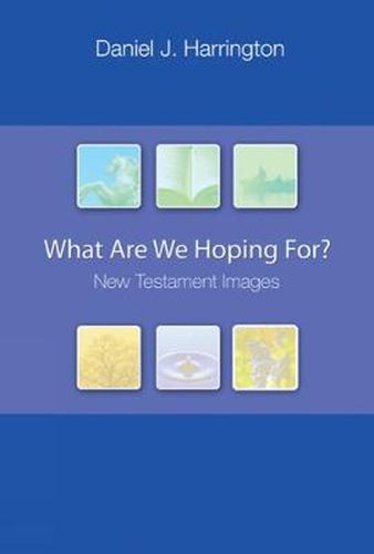 Cover image for What Are We Hoping For?: New Testament Images