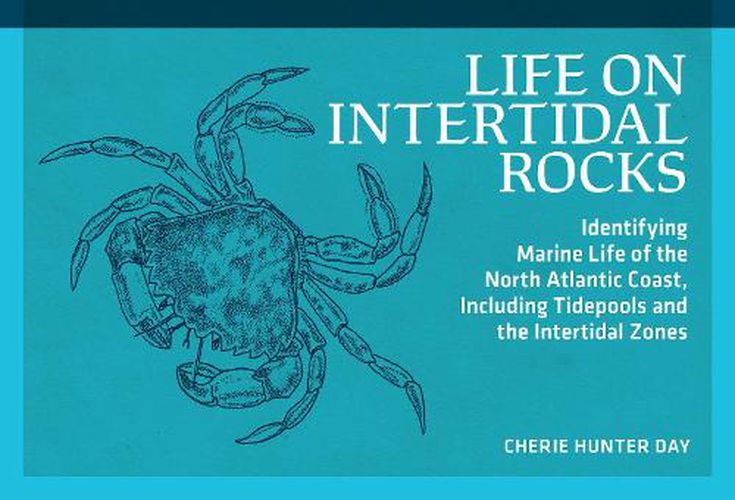 Cover image for Life on Intertidal Rocks