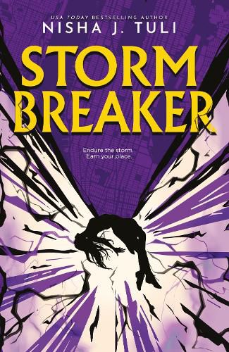 Cover image for Storm Breaker