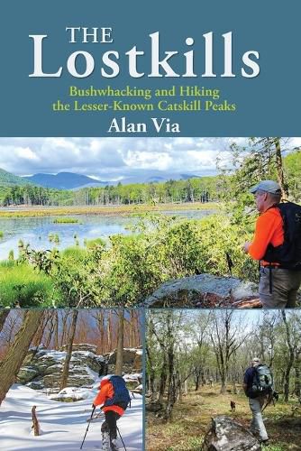 Cover image for The Lostkills