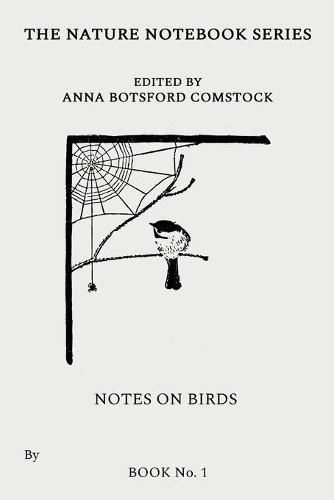 Cover image for Notes on Birds 1