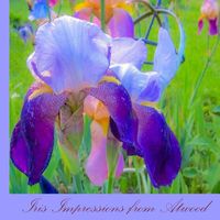 Cover image for Iris Impressions from Atwood