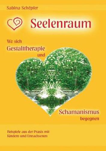 Cover image for Seelenraum: Wo sich Gestalttherapie und Schamanismus begegnen.: Beispiele aus der Praxis mit Kindern und Erwachsenen.