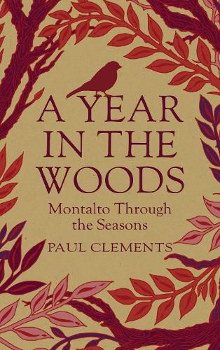 Cover image for A Year In the Woods