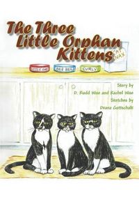 Cover image for The Three Little Orphan Kittens