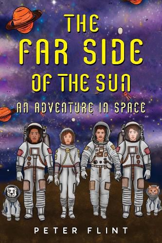 Cover image for THE FAR SIDE OF THE SUN: An Adventure in Space