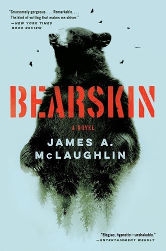 Cover image for Bearskin: A Novel