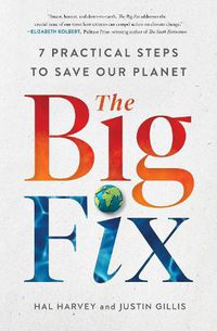Cover image for The Big Fix