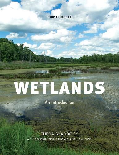 Cover image for Wetlands: An Introduction