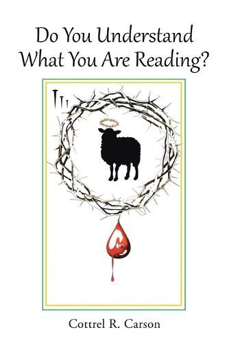 Cover image for Do You Understand What You Are Reading?