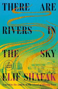 Cover image for There Are Rivers in the Sky