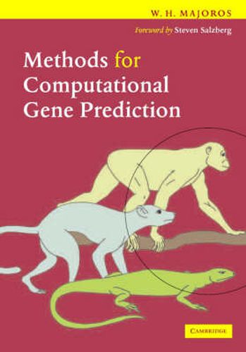 Cover image for Methods for Computational Gene Prediction