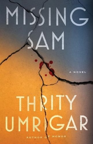Cover image for Missing Sam
