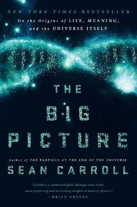 Cover image for The Big Picture: On the Origins of Life, Meaning, and the Universe Itself