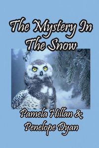 Cover image for The Mystery In The Snow