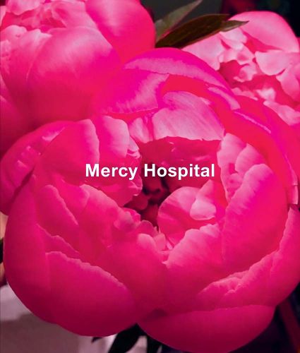 Ida Applebroog - Mercy Hospital