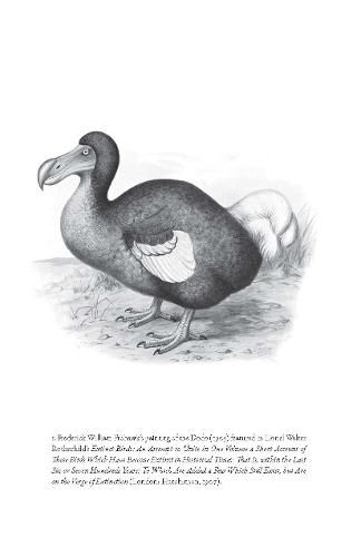 Cover image for Flock Together: A Love Affair with Extinct Birds