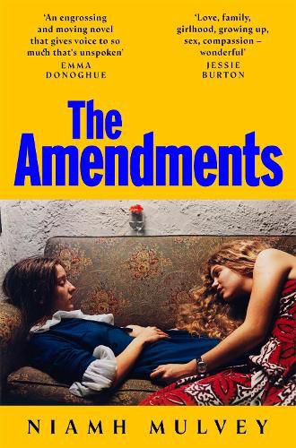 Cover image for The Amendments