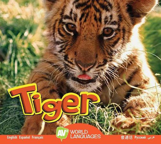 Cover image for Tiger