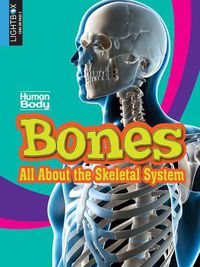 Cover image for Bones: All about the Skeletal System