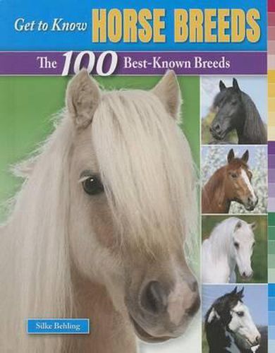 Cover image for Get to Know Horse Breeds: The 100 Best-Known Breeds