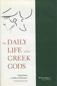 Cover image for The Daily Life of the Greek Gods