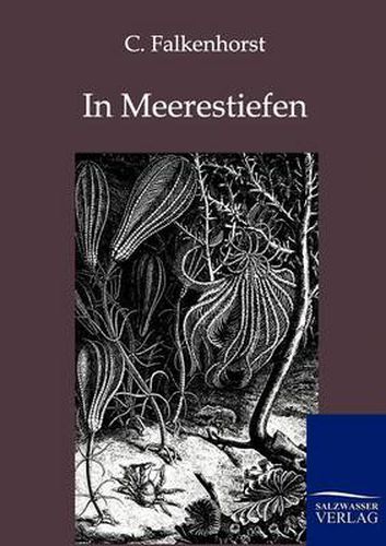 Cover image for In Meerestiefen