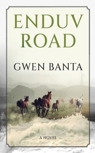 Cover image for Enduv Road