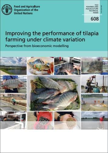 Improving the performance of Tilapia: perspective from bioeconomic modelling