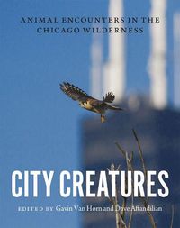 Cover image for City Creatures